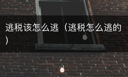 逃税该怎么逃（逃税怎么逃的）