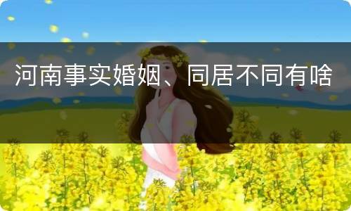 河南事实婚姻、同居不同有啥