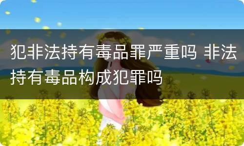 犯非法持有毒品罪严重吗 非法持有毒品构成犯罪吗