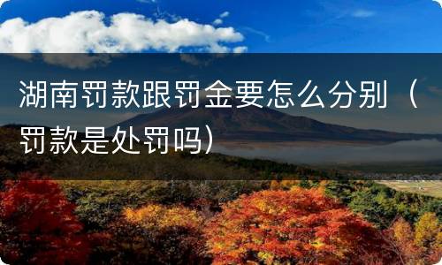 湖南罚款跟罚金要怎么分别（罚款是处罚吗）