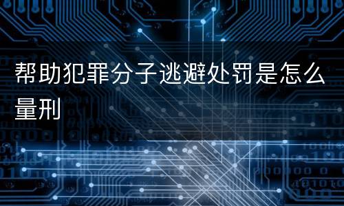 帮助犯罪分子逃避处罚是怎么量刑