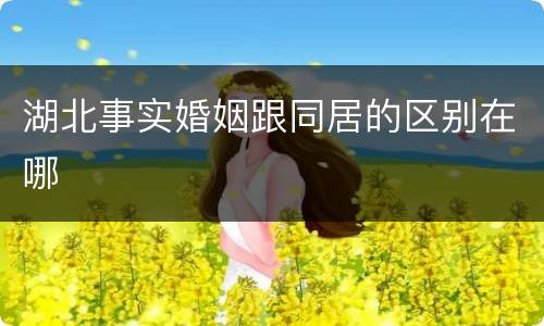 湖北事实婚姻跟同居的区别在哪