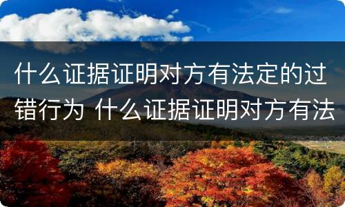 什么证据证明对方有法定的过错行为 什么证据证明对方有法定的过错行为的效力