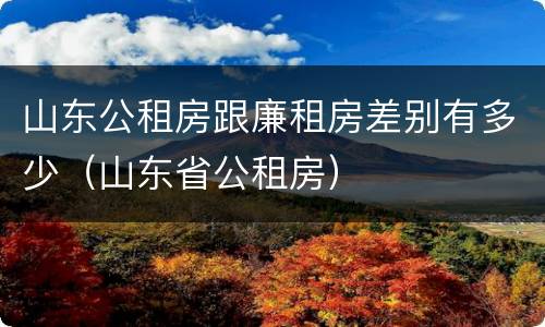 山东公租房跟廉租房差别有多少（山东省公租房）