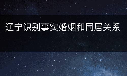 辽宁识别事实婚姻和同居关系