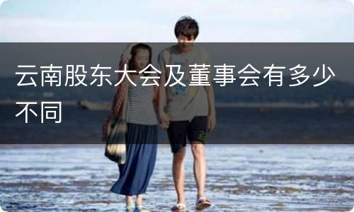 云南股东大会及董事会有多少不同