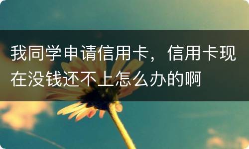 我同学申请信用卡，信用卡现在没钱还不上怎么办的啊