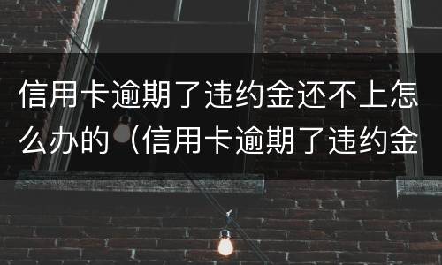 信用卡逾期了违约金还不上怎么办的（信用卡逾期了违约金还不上怎么办的呢）