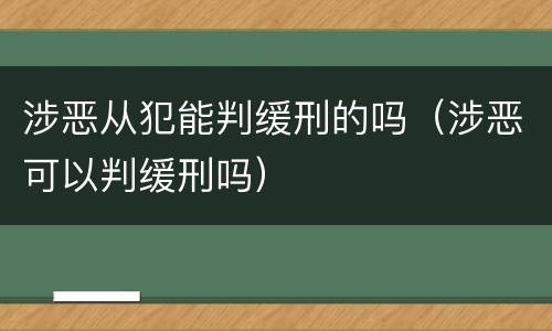 涉恶从犯能判缓刑的吗（涉恶可以判缓刑吗）