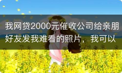 我网贷2000元催收公司给亲朋好友发我难看的照片，我可以维护吗