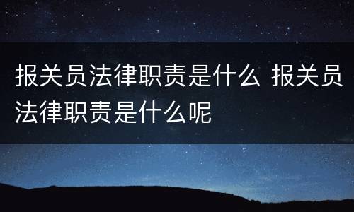 报关员法律职责是什么 报关员法律职责是什么呢