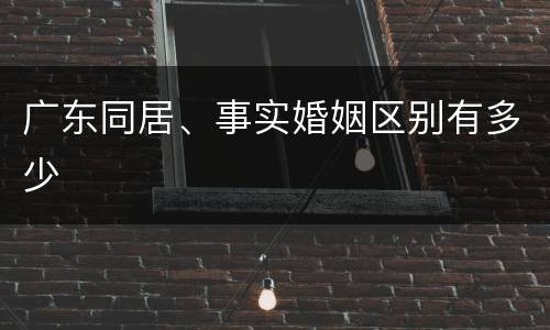 广东同居、事实婚姻区别有多少
