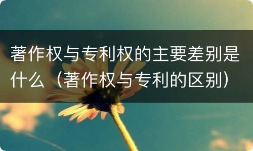 著作权与专利权的主要差别是什么（著作权与专利的区别）