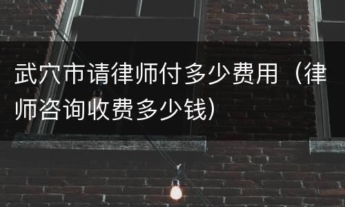 武穴市请律师付多少费用（律师咨询收费多少钱）
