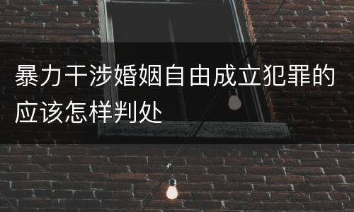 暴力干涉婚姻自由成立犯罪的应该怎样判处