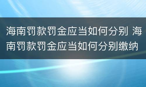 海南罚款罚金应当如何分别 海南罚款罚金应当如何分别缴纳