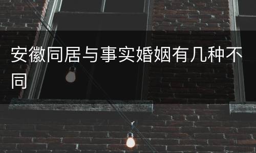 安徽同居与事实婚姻有几种不同