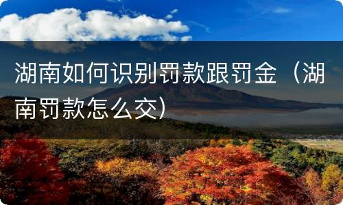 湖南如何识别罚款跟罚金（湖南罚款怎么交）