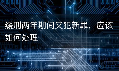 缓刑两年期间又犯新罪，应该如何处理