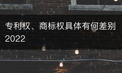专利权、商标权具体有何差别2022