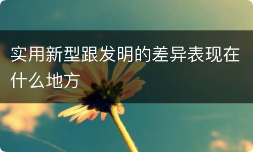 实用新型跟发明的差异表现在什么地方