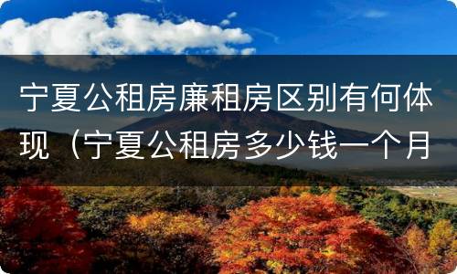 宁夏公租房廉租房区别有何体现（宁夏公租房多少钱一个月）