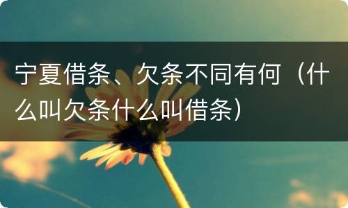 宁夏借条、欠条不同有何（什么叫欠条什么叫借条）