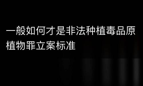 一般如何才是非法种植毒品原植物罪立案标准