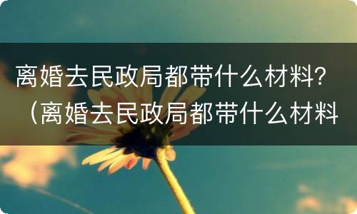 离婚去民政局都带什么材料？（离婚去民政局都带什么材料和手续）