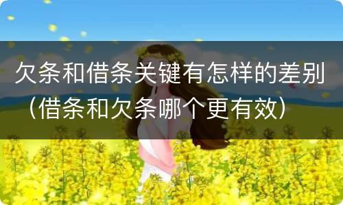 欠条和借条关键有怎样的差别（借条和欠条哪个更有效）
