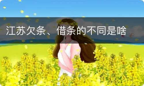 江苏欠条、借条的不同是啥