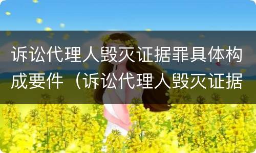 诉讼代理人毁灭证据罪具体构成要件（诉讼代理人毁灭证据罪具体构成要件是什么）