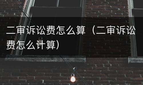 二审诉讼费怎么算（二审诉讼费怎么计算）