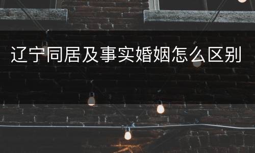 辽宁同居及事实婚姻怎么区别