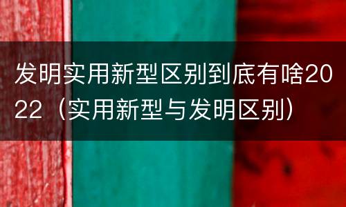 发明实用新型区别到底有啥2022（实用新型与发明区别）