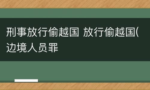 刑事放行偷越国 放行偷越国(边境人员罪