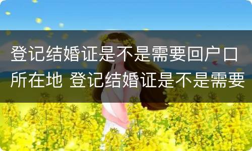 登记结婚证是不是需要回户口所在地 登记结婚证是不是需要回户口所在地办理