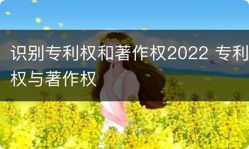 识别专利权和著作权2022 专利权与著作权