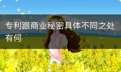 专利跟商业秘密具体不同之处有何