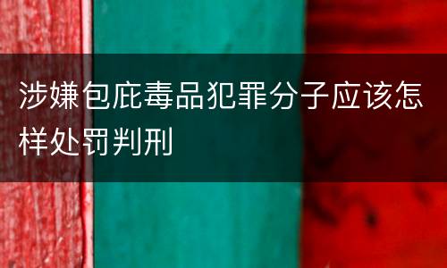 涉嫌包庇毒品犯罪分子应该怎样处罚判刑