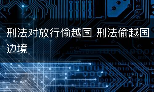 刑法对放行偷越国 刑法偷越国边境