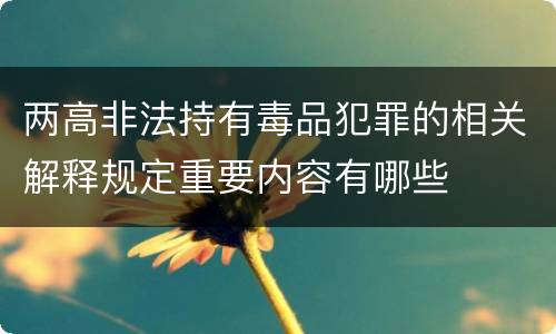 两高非法持有毒品犯罪的相关解释规定重要内容有哪些