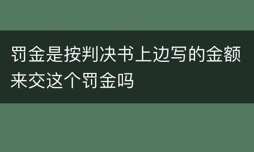 罚金是按判决书上边写的金额来交这个罚金吗