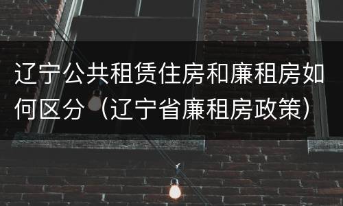 辽宁公共租赁住房和廉租房如何区分（辽宁省廉租房政策）