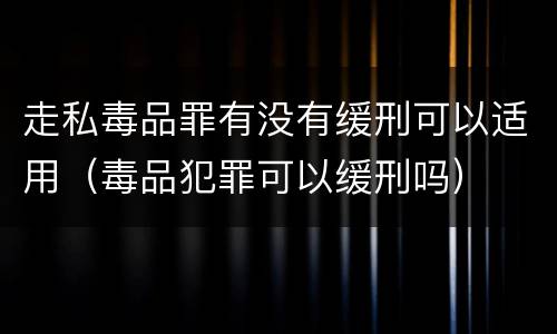 走私毒品罪有没有缓刑可以适用（毒品犯罪可以缓刑吗）
