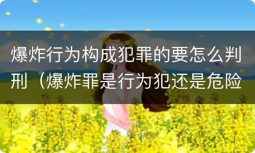 爆炸行为构成犯罪的要怎么判刑（爆炸罪是行为犯还是危险犯）