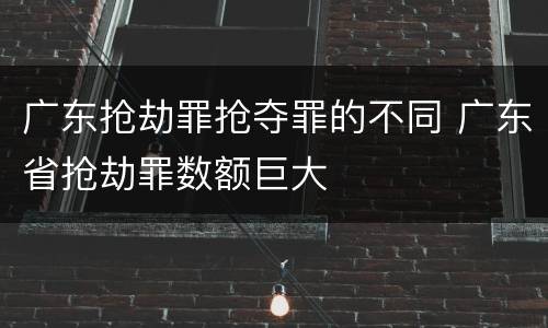 广东抢劫罪抢夺罪的不同 广东省抢劫罪数额巨大