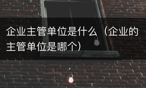 企业主管单位是什么（企业的主管单位是哪个）