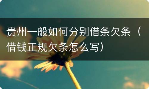 贵州一般如何分别借条欠条（借钱正规欠条怎么写）
