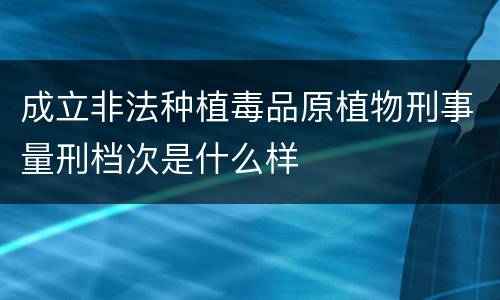 成立非法种植毒品原植物刑事量刑档次是什么样